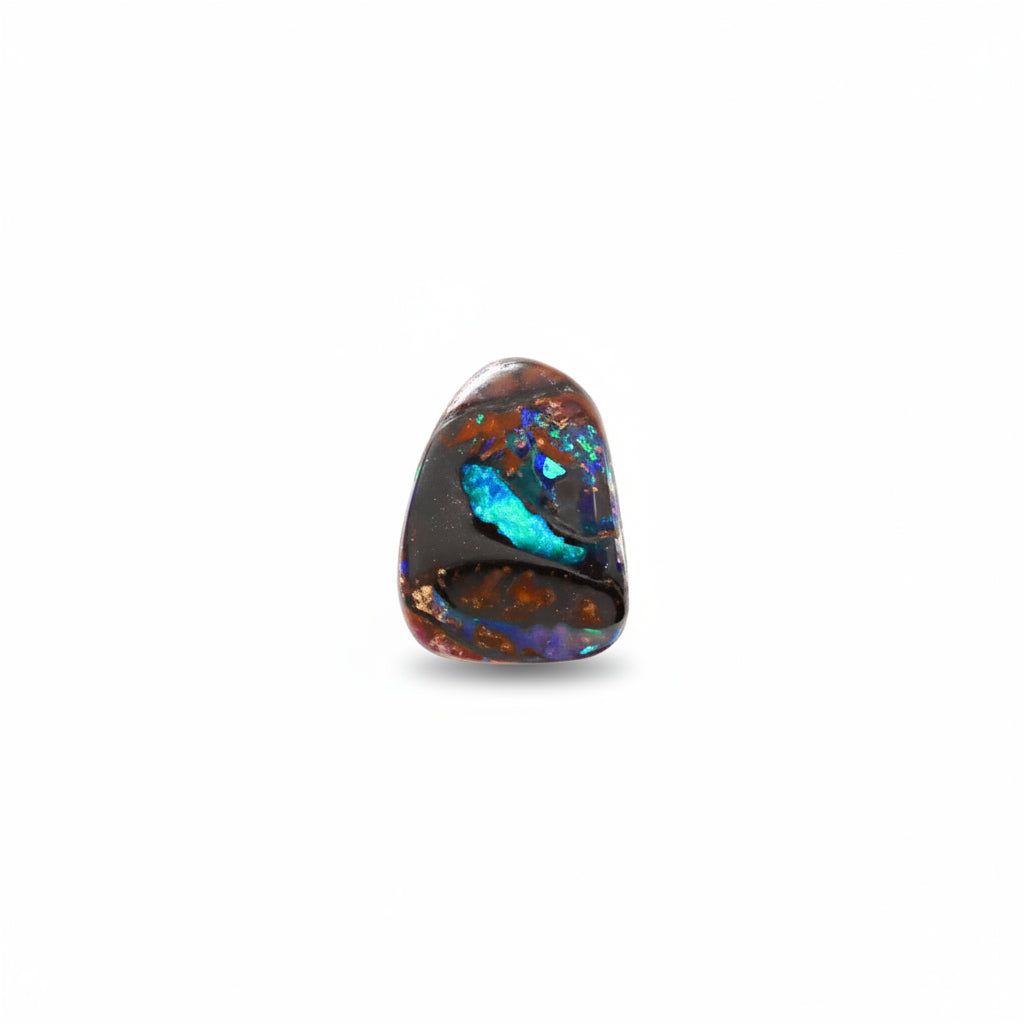 ID: 05509